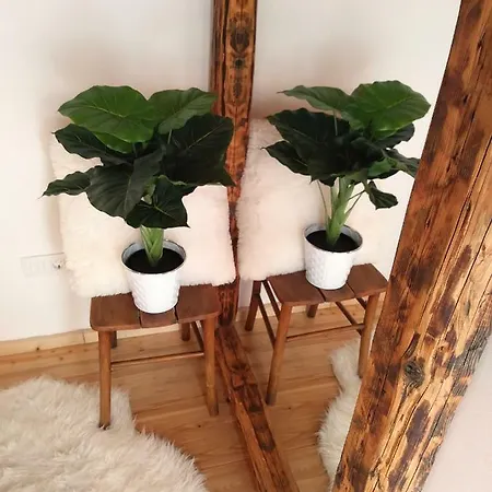 Cernesa Apartament