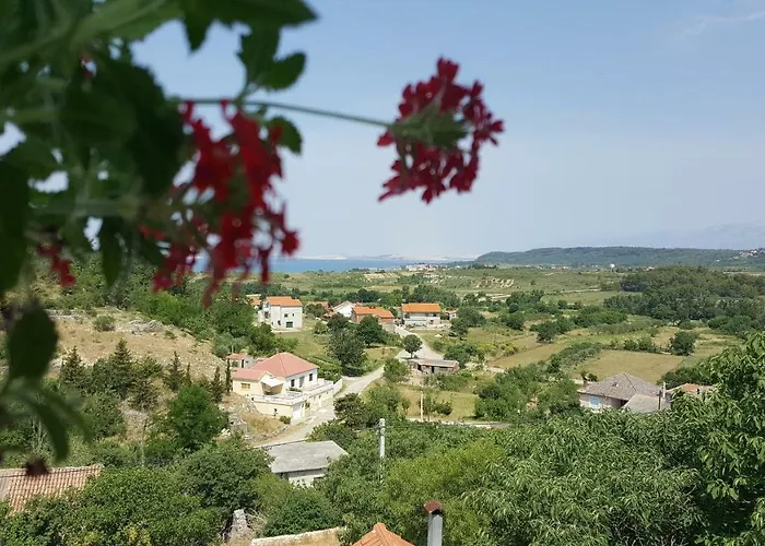 Cernesa